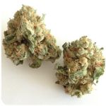 Шишки "White Widow" (Белая вдова) Гидропоника - Бошка VHQ в Вязниках Шишки "White Widow" (Белая вдова) Гидропоника - Бошка VHQ в Вязниках