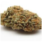 Шишки AK47 (Гидропоника, Бошка) VHQ в Вязниках Шишки AK47 (Гидропоника, Бошка) VHQ в Вязниках